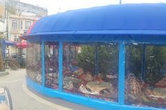 sabit-guneslik-yagmurluk-tente-branda-9